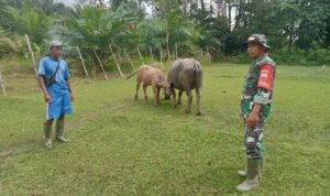 WhatsApp Image 2024-12-11 at 09.55.55