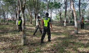 WhatsApp Image 2024-12-11 at 10.26.10