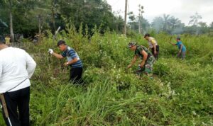 WhatsApp Image 2024-12-11 at 10.26.25