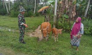 WhatsApp Image 2024-12-13 at 09.29.19