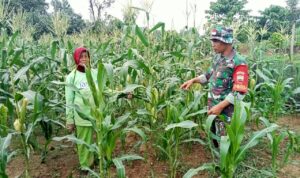 WhatsApp Image 2024-12-19 at 09.47.21