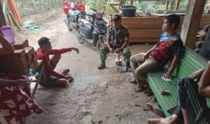 WhatsApp Image 2025-01-16 at 09.36.43