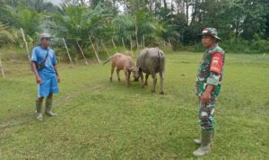 WhatsApp Image 2025-01-16 at 09.36.55