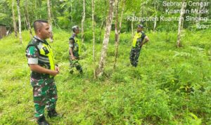 WhatsApp Image 2025-02-06 at 09.36.21