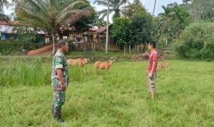 WhatsApp Image 2025-02-06 at 09.36.48