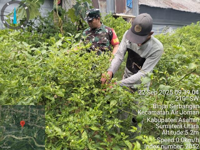 8 (3) (Copy)