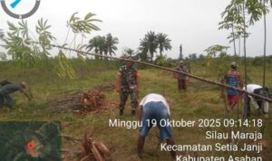 2 (2) (Copy)