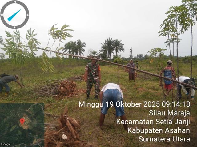2 (2) (Copy)