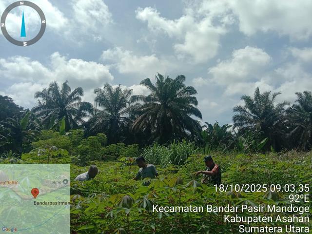 3 (2) (Copy)