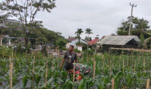 WhatsApp Image 2025-10-24 at 11.01.17 (1)
