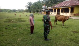 WhatsApp Image 2025-10-30 at 08.53.49