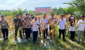 WhatsApp Image 2025-10-30 at 08.55.36 (1)