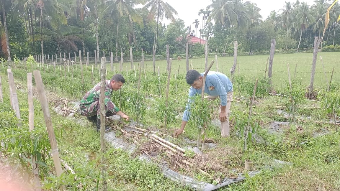 WhatsApp Image 2025-10-30 at 09.35.55