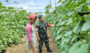 WhatsApp Image 2025-10-31 at 11.30.04 (1)