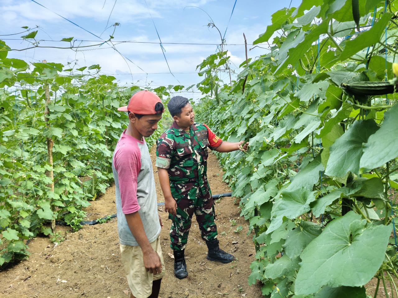 WhatsApp Image 2025-10-31 at 11.30.04 (1)