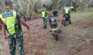 WhatsApp Image 2025-11-10 at 11.36.52