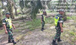 WhatsApp Image 2025-11-11 at 09.33.58