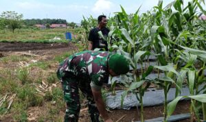 WhatsApp Image 2025-11-12 at 11.08.21 (1)