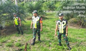 WhatsApp Image 2025-11-14 at 09.40.43