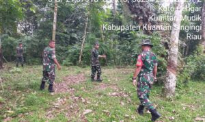 WhatsApp Image 2025-11-15 at 09.28.47