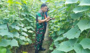 WhatsApp Image 2025-11-15 at 11.00.50