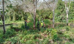 WhatsApp Image 2025-11-15 at 11.01.04 (1)