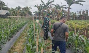 WhatsApp Image 2025-11-18 at 11.50.07 (1)