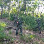 WhatsApp Image 2025-11-23 at 10.02.48