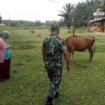 WhatsApp Image 2025-11-23 at 10.50.59 (1)