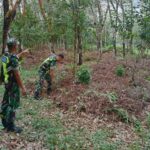 WhatsApp Image 2025-11-23 at 10.51.52