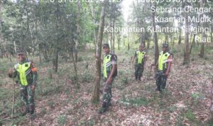 WhatsApp Image 2025-12-07 at 09.51.02