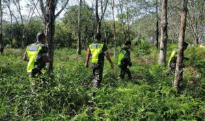 WhatsApp Image 2025-12-08 at 11.25.34