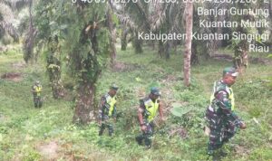 WhatsApp Image 2025-12-10 at 09.27.53