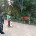 WhatsApp Image 2025-12-11 at 09.58.46