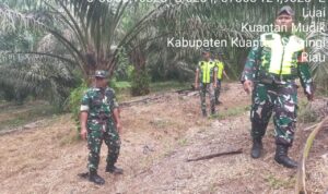 WhatsApp Image 2025-12-12 at 09.52.08 (1)