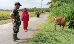 WhatsApp Image 2025-12-12 at 09.52.29