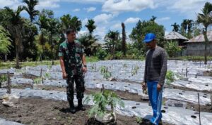 WhatsApp Image 2025-12-12 at 10.59.30