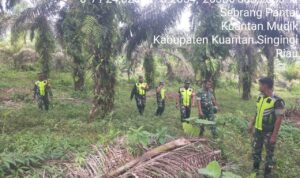 WhatsApp Image 2025-12-13 at 09.27.43