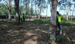 WhatsApp Image 2025-12-13 at 13.17.47 (1)