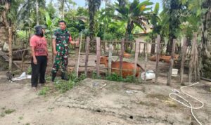 WhatsApp Image 2025-12-14 at 09.37.12