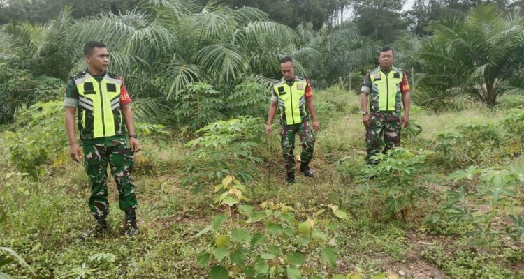 WhatsApp Image 2025-12-25 at 11.24.41 (1)