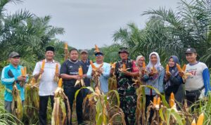 WhatsApp Image 2026-01-10 at 12.34.13 (1)