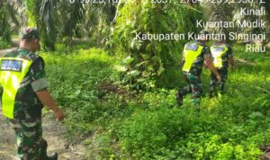 WhatsApp Image 2026-01-11 at 09.42.17