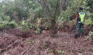 WhatsApp Image 2026-01-17 at 11.27.38