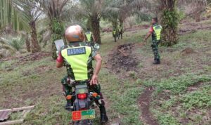 WhatsApp Image 2026-01-18 at 10.23.36 (1)