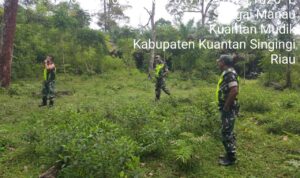 WhatsApp Image 2026-01-29 at 09.31.25