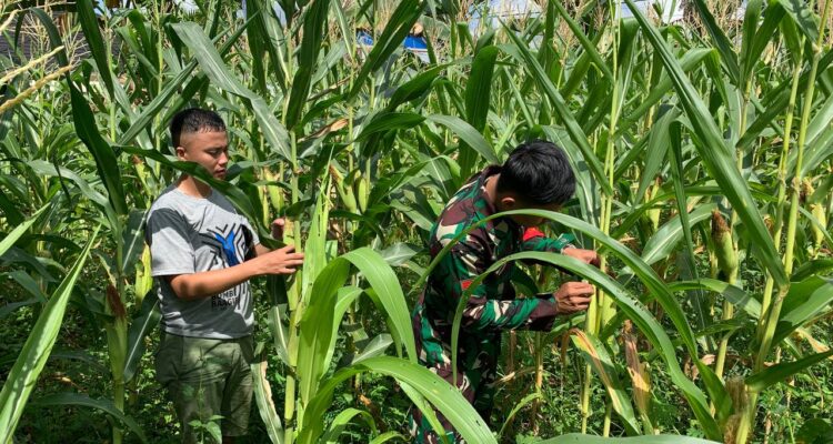 WhatsApp Image 2026-01-29 at 10.47.57