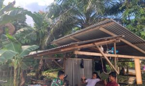 WhatsApp Image 2026-02-21 at 09.56.37