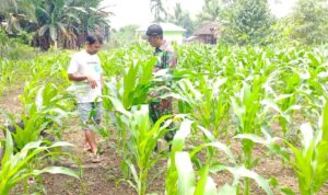 WhatsApp Image 2026-02-25 at 10.28.54