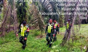 WhatsApp Image 2026-03-14 at 09.50.30